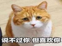 义乌市飒宓电子商务商行