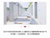 义乌市飒宓电子商务商行