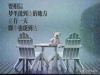 义乌市飒宓电子商务商行