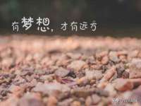 义乌市飒宓电子商务商行