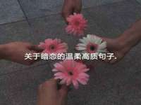 义乌市飒宓电子商务商行