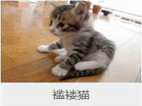 义乌市飒宓电子商务商行