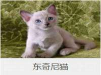 义乌市飒宓电子商务商行