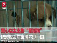 义乌市飒宓电子商务商行