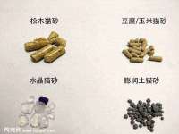 义乌市飒宓电子商务商行