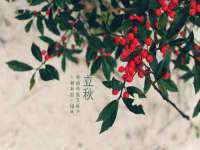 义乌市飒宓电子商务商行