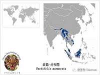 义乌市飒宓电子商务商行