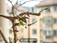 义乌市飒宓电子商务商行
