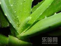 义乌市飒宓电子商务商行