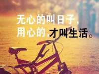 义乌市飒宓电子商务商行