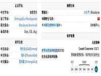 义乌市飒宓电子商务商行