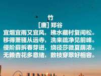 义乌市飒宓电子商务商行