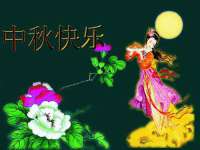 义乌市飒宓电子商务商行