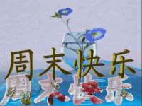 义乌市飒宓电子商务商行