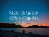 义乌市飒宓电子商务商行