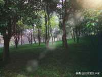义乌市飒宓电子商务商行
