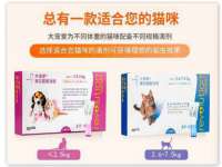 义乌市飒宓电子商务商行