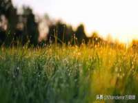 义乌市飒宓电子商务商行