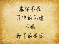 义乌市飒宓电子商务商行