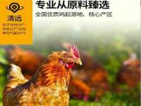 义乌市飒宓电子商务商行