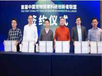 义乌市飒宓电子商务商行