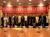 义乌市飒宓电子商务商行