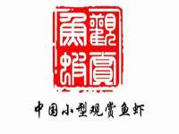 义乌市飒宓电子商务商行