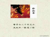 义乌市飒宓电子商务商行