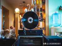 义乌市飒宓电子商务商行