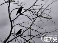 义乌市飒宓电子商务商行