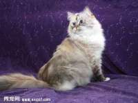 义乌市飒宓电子商务商行