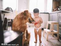 义乌市飒宓电子商务商行