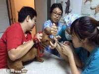 义乌市飒宓电子商务商行