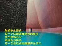 义乌市飒宓电子商务商行