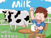 义乌市飒宓电子商务商行