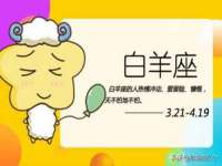 义乌市飒宓电子商务商行