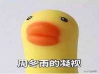 义乌市飒宓电子商务商行