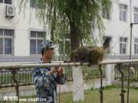 义乌市飒宓电子商务商行