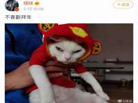 义乌市飒宓电子商务商行