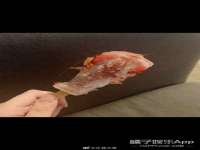 义乌市飒宓电子商务商行